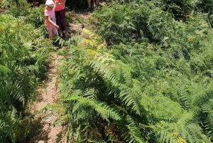 Teneriffa: Anaga Vaellus