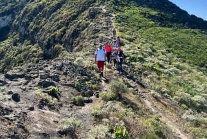 Teneriffa: Anaga Vaellus