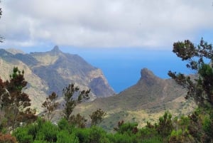 Tenerife Anaga Mountains: Circular hike through the Taganana Valley - small group max. 10