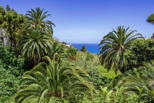 Tenerife: tour privado por el Parque Rural de Anaga