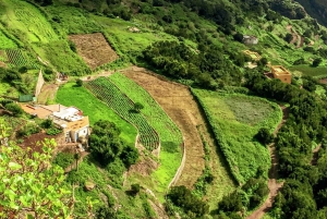 Tenerife: Anaga Rural Park Private Tour