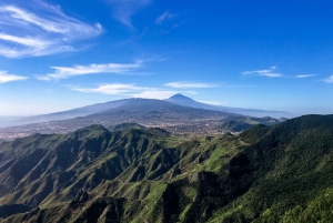 Teneriffa: Anaga Rural Parkin yksityinen kiertue