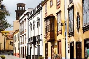 Teneriffa: Anaga Rural Parkin yksityinen kiertue