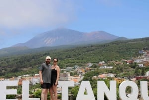 Tenerife: Guided Buggy Discovery Tour around Mount Teide