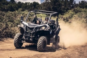 Tenerife: Guided Buggy Discovery Tour around Mount Teide