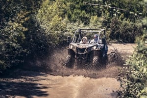 Tenerife: Guided Buggy Discovery Tour around Mount Teide