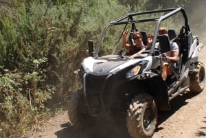 Tenerife: Guided Buggy Discovery Tour around Mount Teide