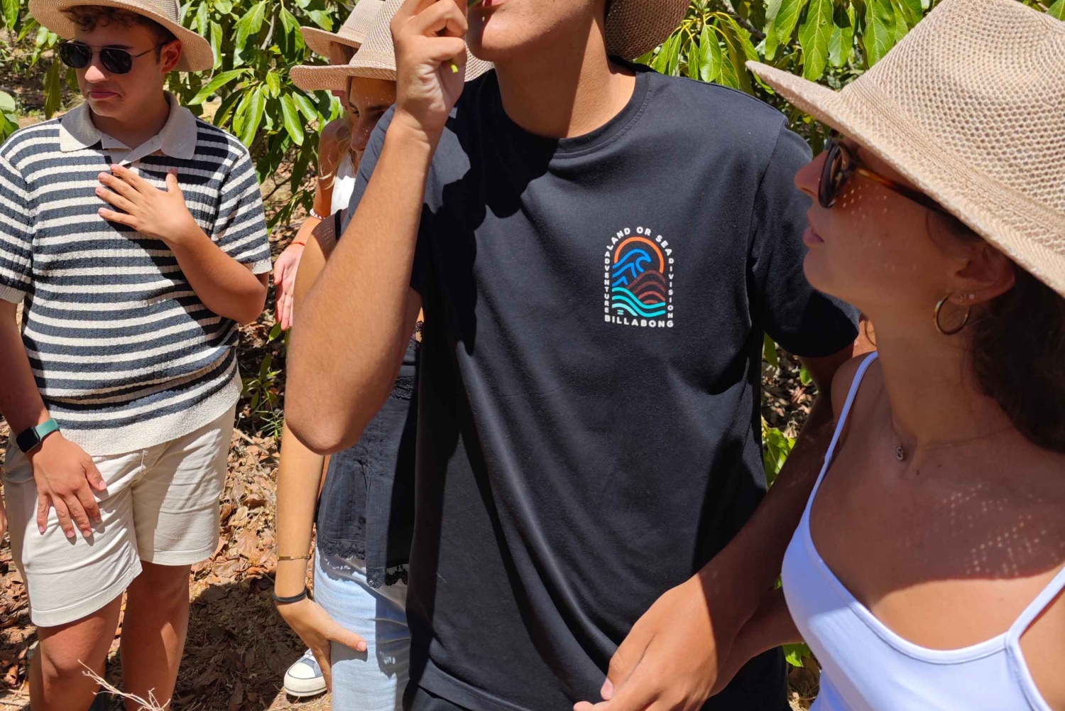 Teneryfa: wycieczka po farmie awokado z degustacją i winem