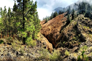 Tenerife: Barranco de los Arcos - Canyoning em Tenerife
