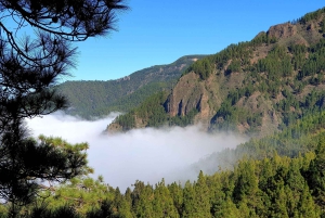 Tenerife: Barranco de los Arcos - Canyoning em Tenerife