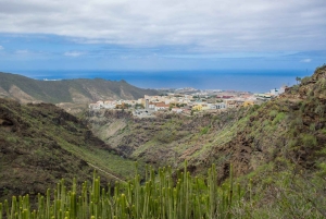 Tenerife: Barranco del Infierno Guided Hike + Views on Adeje