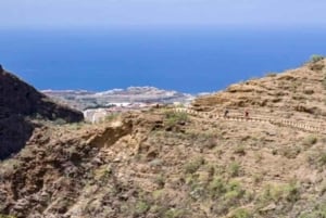 Tenerife: Barranco del Infierno Guided Hike + Views on Adeje
