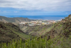 Tenerife: Barranco del Infierno Guided Hike + Views on Adeje