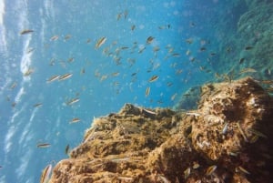 Tenerife: Basic Diver Program w/2 Dives