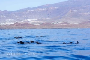 Tenerife: Beneteau Oceanis 45 Leila Sailing Tour