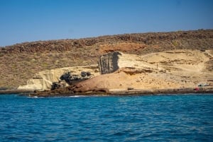 Tenerife: Beneteau Oceanis 45 Leila Sailing Tour