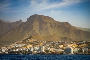 Tenerife: Beneteau Oceanis 45 Leila Sailing Tour