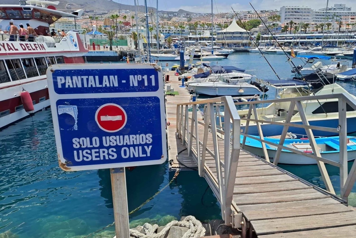 Tenerife: Boat Tour with Wakeboarding and Snorkeling