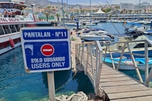 Tenerife: Boat Tour with Wakeboarding and Snorkeling