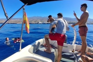 Tenerife: Boat Tour with Wakeboarding and Snorkeling