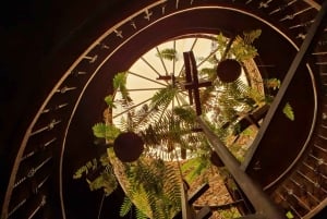 Teneriffa: Weingut Viñátigo - Kommentierte Verkostung von 3 Weinen