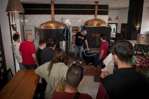 Tenerife : Brewery guided tour with tasting at TACOA Brewery