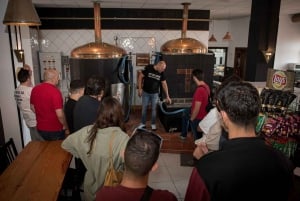 Tenerife : Brewery guided tour with tasting at TACOA Brewery