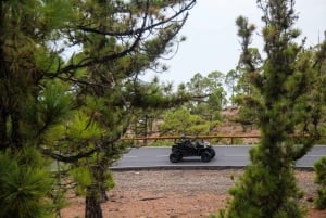 Tenerife: Buggy 2seats MORNING guided tour of Teide