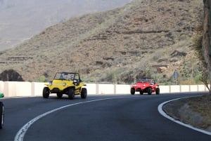 Tenerife Buggy Tour with Route Options Coast Mountain Sunset