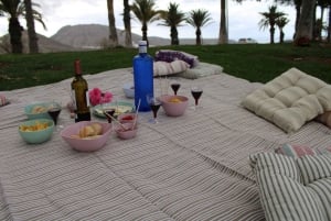 Tenerife Buggy Tour with Route Options Coast Mountain Sunset