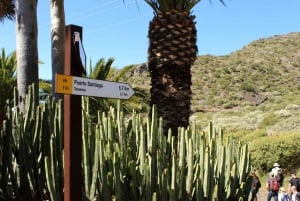 Tenerife : Camino Real hike