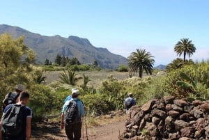 Tenerife : Camino Real hike