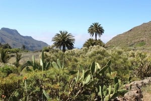 Tenerife : Camino Real hike