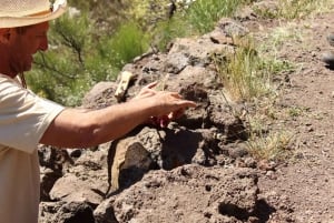 Tenerife : Camino Real hike