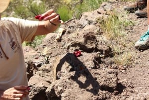 Tenerife : Camino Real hike