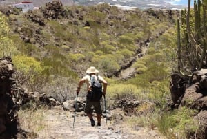 Tenerife : Camino Real hike