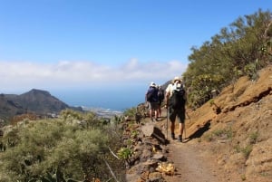 Teneriffa : Camino Real vaellus