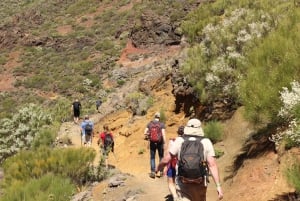 Teneriffa : Camino Real vaellus