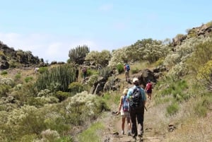 Teneriffa : Camino Real vaellus