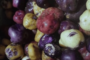 Tenerife: Canary History and Color Potatoes