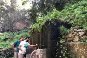 Tenerife: Canary History and Color Potatoes