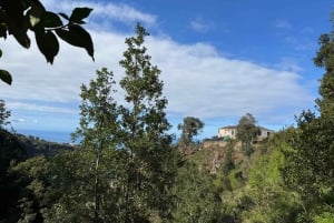 Tenerife: Kanarisk historie og fargepoteter