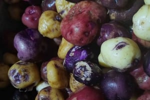 Tenerife: Canary History and Colored Potatoes