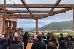 Tenerife: Wine Tour & Taste surrounded by Anaga Forest