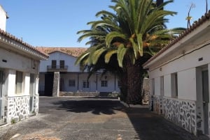 Tenerife: Candelaria Walking Tour with Basilica Visit
