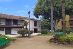 Tenerife: Candelaria Walking Tour with Basilica Visit
