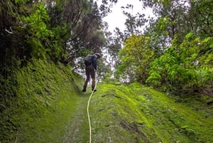 Tenerife: Canyoning Adventure with Hotel Pickup