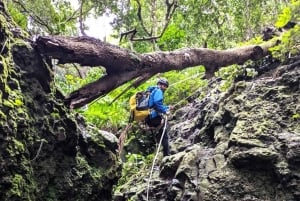 Tenerife: Canyoning Adventure with Hotel Pickup