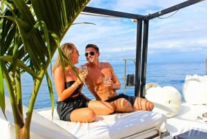 Tenerife: Katamaran-cruise med brunsj og ubegrenset antall drinker