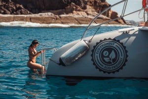 Tenerife: Catamaran Cruise with Brunch and Unlimited Drinks